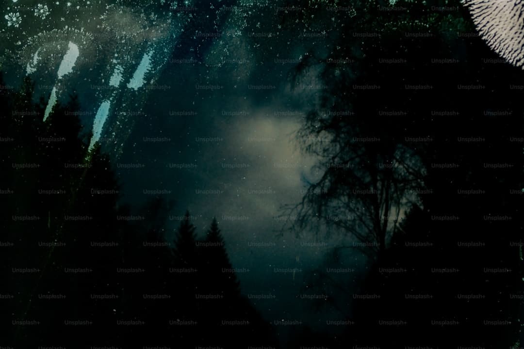 啤特果是热性还是凉性